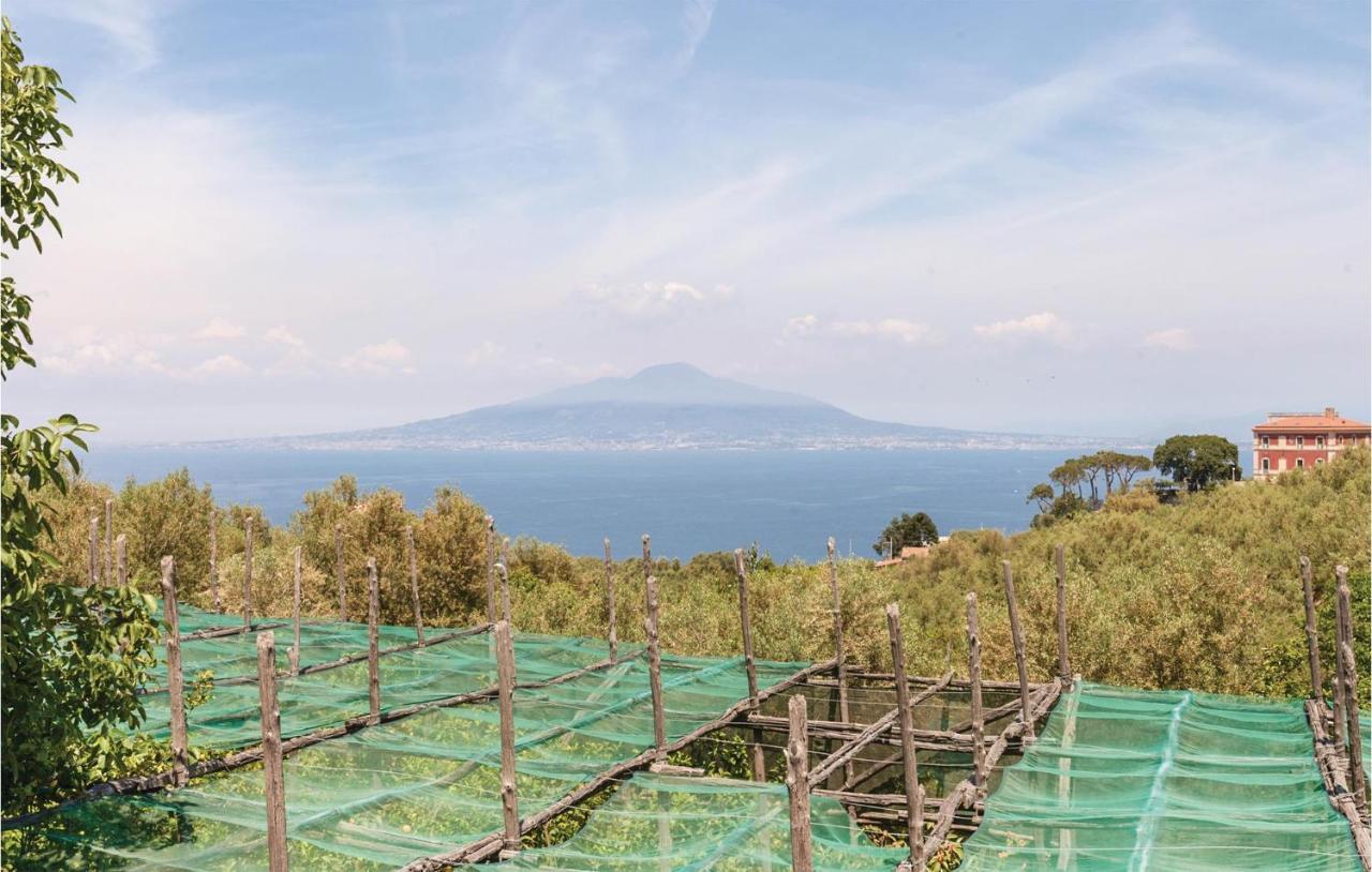 Villa La Limonaia Sorrento Exterior foto